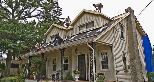Professional Roofing Contractor in Buda, TX